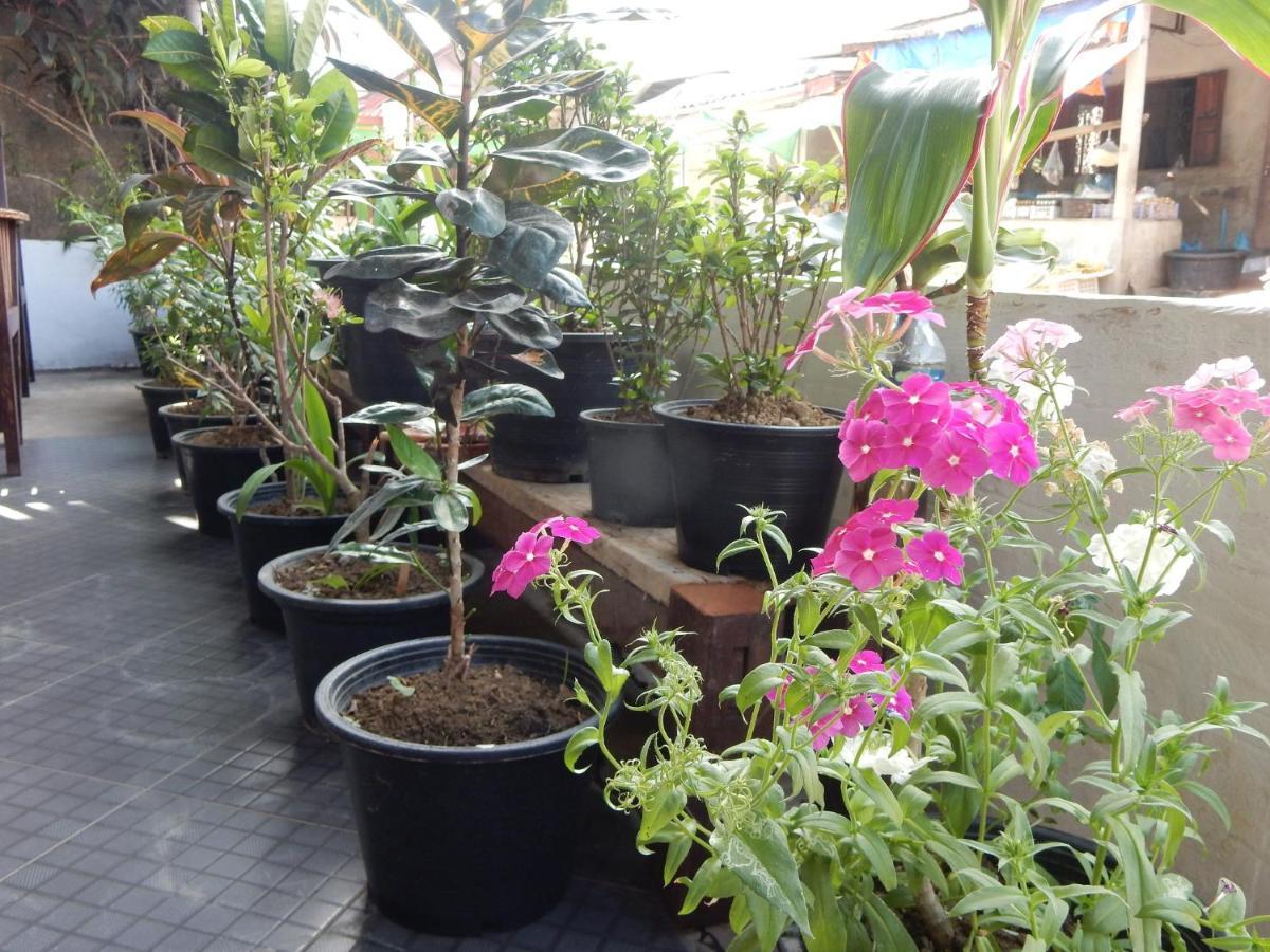 Vang Vieng Camellia Hotel Zewnętrze zdjęcie